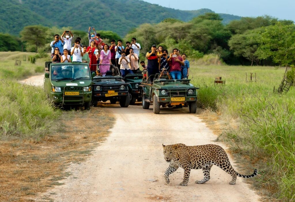 jhalana leopard safari park official website