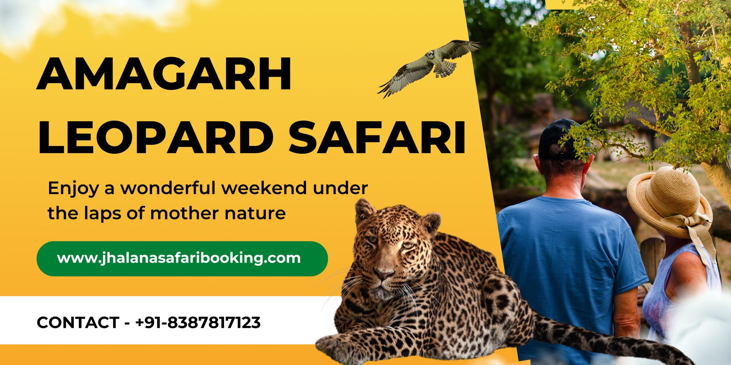 amagarh leopard safari review